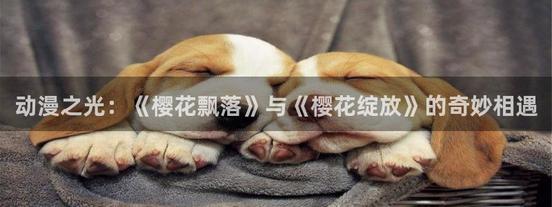 78动漫玩具网